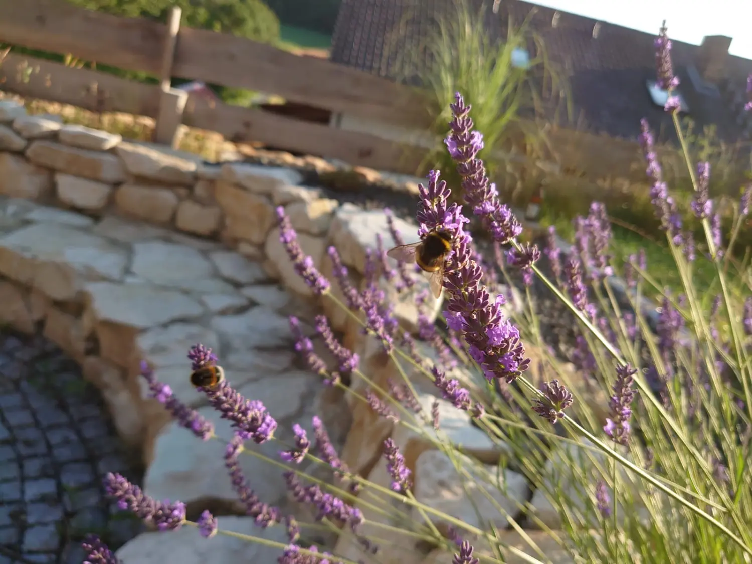 Ferienwohnung Sandner